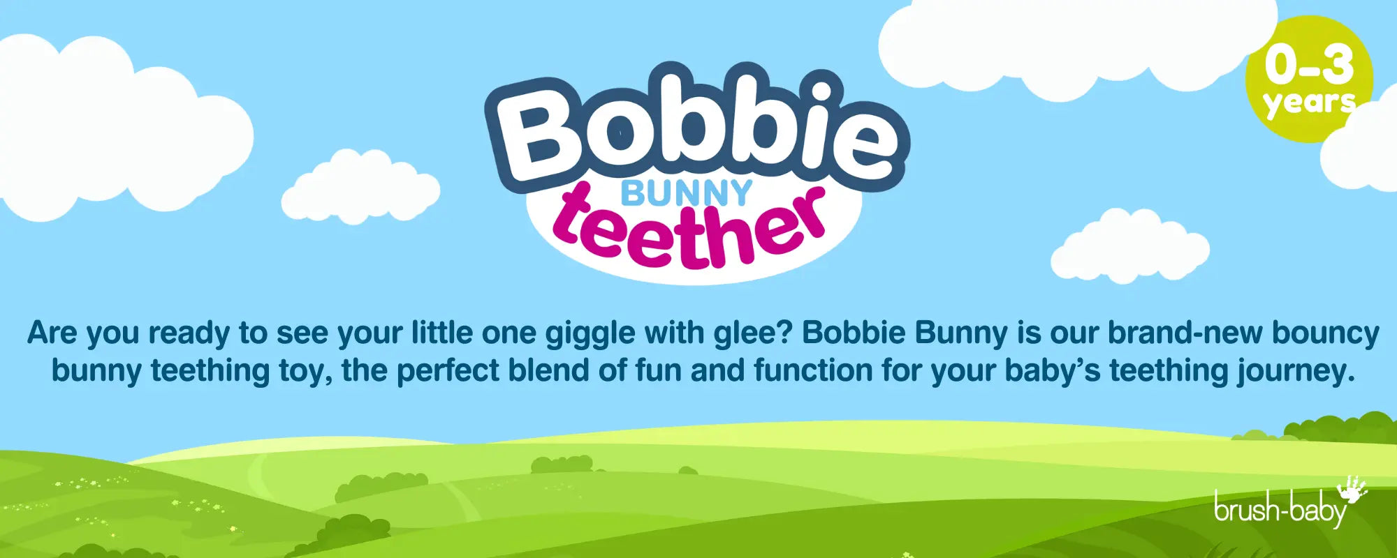 teething remedies for babies | baby teether