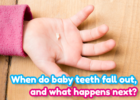 When do Baby Teeth Fall Out?| Baby Oral Health | Tips for Parents ...