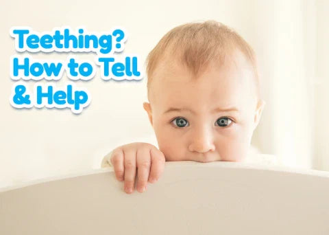 teething | teether toy | teething gums