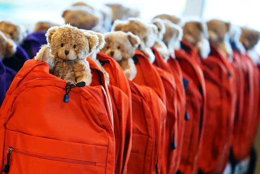 BrushBaby support Buddy Bag foundation With Bristles Toothbrush - FlossBrush