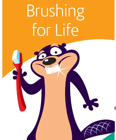 brush baby brushing4life with baby toothbrushes