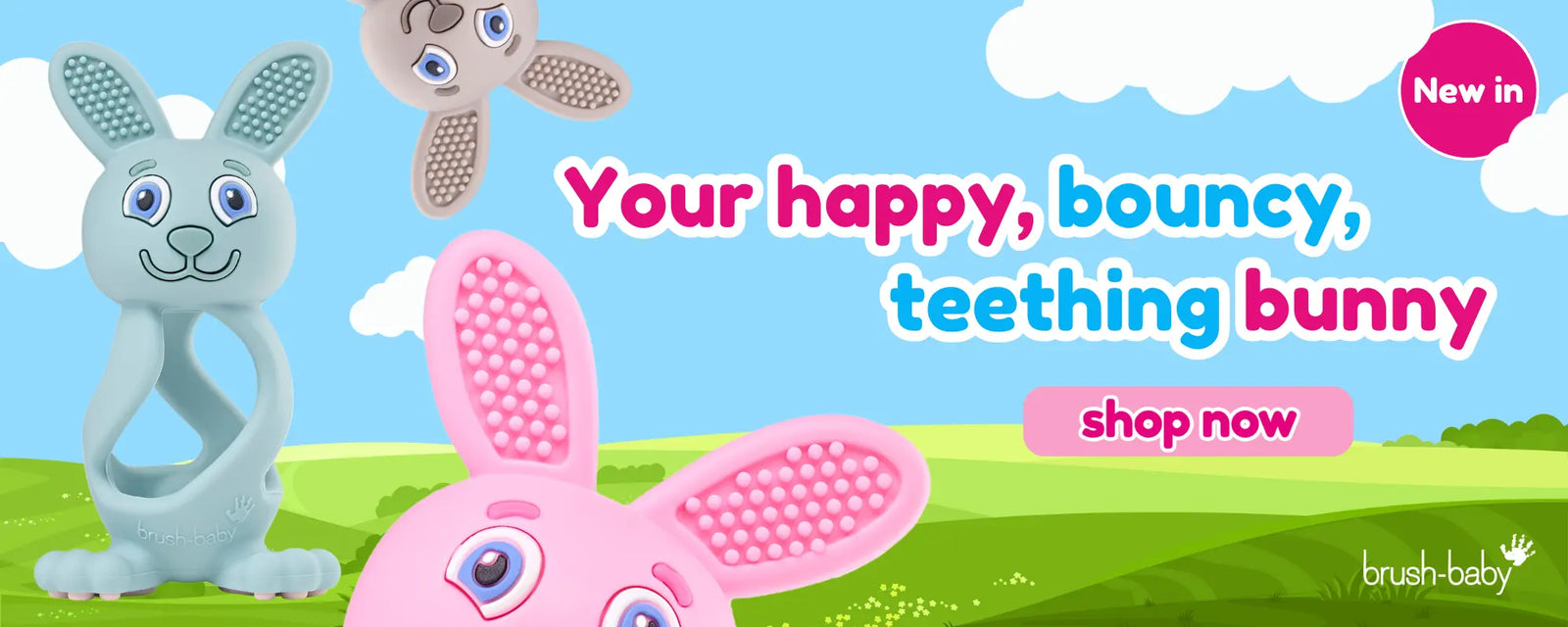 teething remedies for babies | baby teether | teething toy